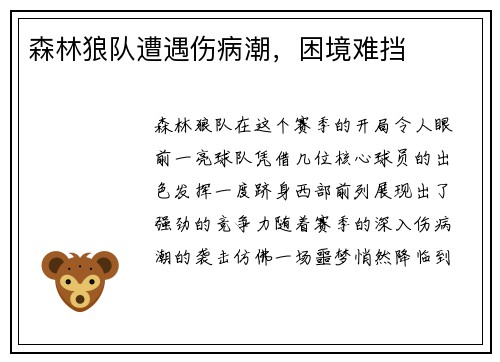 森林狼队遭遇伤病潮，困境难挡